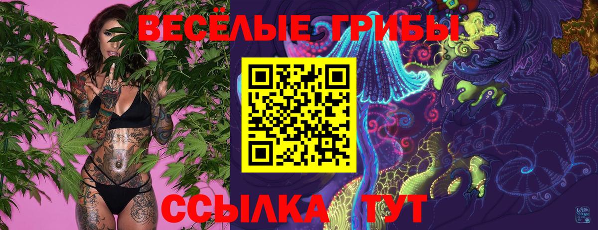наркошоп  Вход с VPN  Галлюциногенные грибы ЛСД  Дубна  Галлюциногенные грибы мухоморы 